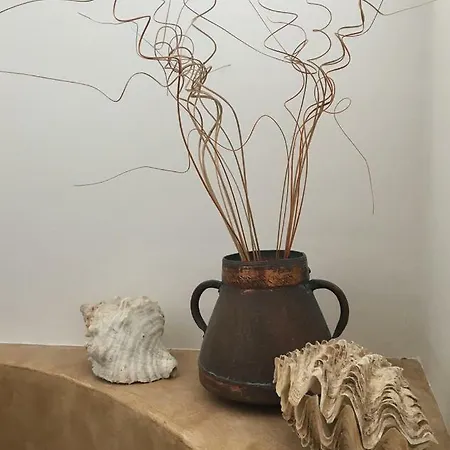 Vento Di Ponente *
